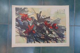 《荷花（中国画）》黄永玉作 湖南人民出版社1979年3月1版1印（4开）