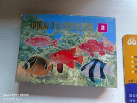 中国海洋鱼类原色图集2