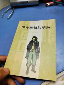 少年维特的烦恼