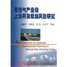 天然气产业链上游开发规划风险研究刘毅军石油工业出版社