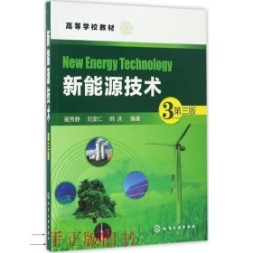 新能源技术第三3版翟秀静化学工业出版社9787122287861