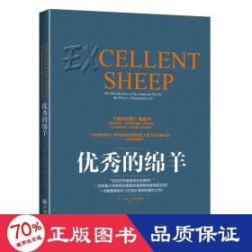 优秀的绵羊