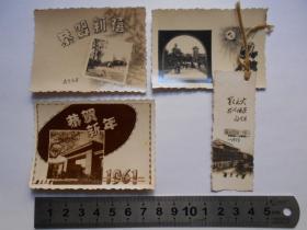 【1959年，1961年，南京大学照片式贺年片，4张】