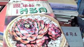 跟着华叔养多肉
