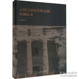 云冈石窟病害的无损检测技术(16开平装 全1册)