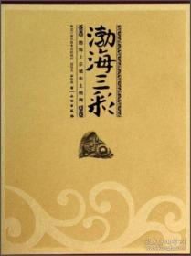 渤海三彩—渤海上京城出土釉陶(16开精装 全1册)