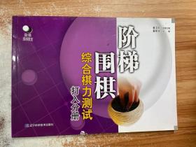 阶梯围棋综合棋力测试（打入分册）