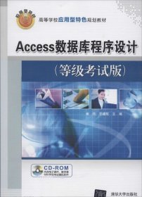 正版现货 Access数据库程序设计（等级考试版）/高等学校应用型特色规划教材