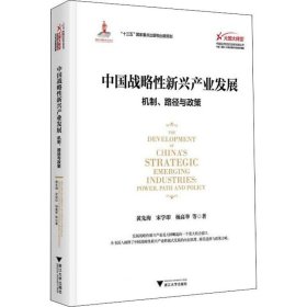 正版现货 中国战略性新兴产业发展：机制、路径与政策