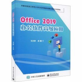 正版现货 Office2019办公软件高级应用