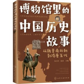 正版现货 博物馆里的中国历史故事 从魏晋南北朝到隋唐五代