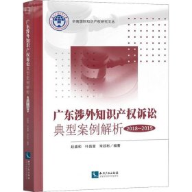 正版现货 广东涉外知识产权诉讼典型案例解析（2018-2019）