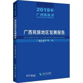 正版现货 广西民族地区发展报告（2019年广西蓝皮书）——广西民族地区发展报告