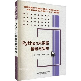 正版现货 Python大数据基础与实战