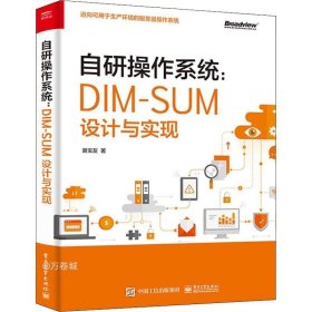 正版现货 自研操作系统：DIM-SUM设计与实现(博文视点出品)