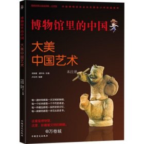 正版现货 博物馆里的中国：大美中国艺术