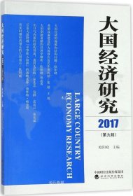 正版现货 大国经济研究（2017 第9辑）