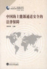 正版现货 新能源法律与政策研究丛书：中国海上能源通道安全的法律保障