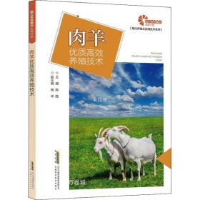 正版现货 助力乡村振兴出版计划·现代养殖业实用技术系列：肉羊优质高效养殖技术