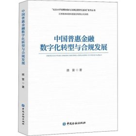 正版现货 中国普惠金融数字化转型与合规发展