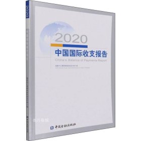 正版现货 2020中国国际收支报告