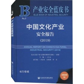 正版现货 产业安全蓝皮书：中国文化产业安全报告（2019）
