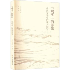正版现货 “现实”的浮出——中国文学中的现实描写