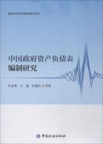 正版现货 中国政府资产负债表编制研究