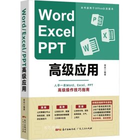 正版现货 Word、Excel、PPT高级应用