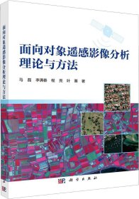 正版现货 面向对象遥感影像分析理论与方法