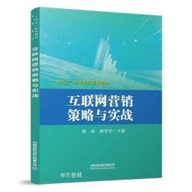 正版现货 互联网营销策略与实战