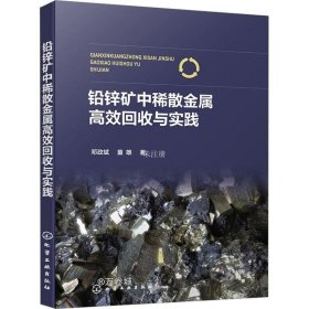 正版现货 铅锌矿中稀散金属高效回收与实践