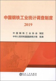 正版现货 2019中国钢铁工业统计调查制度