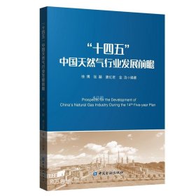 正版现货 “十四五”中国天然气行业发展前瞻