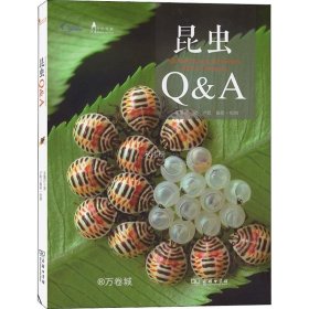 正版现货 昆虫Q&A 朱耀沂 著 卢耽 绘 网络书店 图书