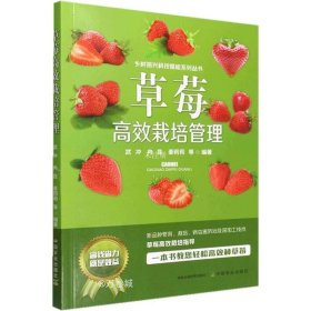 正版现货 草莓高效栽培管理/乡村振兴科技赋能系列丛书