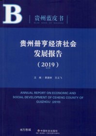 正版现货 贵州册亨经济社会发展报告（2019）