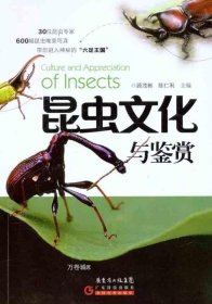 正版现货 昆虫文化与鉴赏