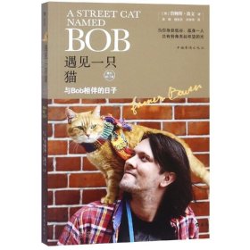 正版现货 遇见一只猫:与Bob相伴的日子