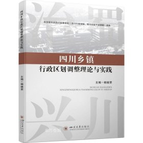 正版现货 四川乡镇行政区划调整理论与实践