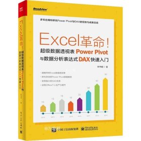 正版现货 Excel革命！超级数据透视表PowerPivot与数据分析表达式DAX快速入门(博文视点出品)