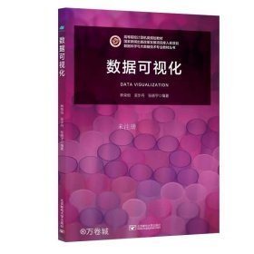 正版现货 数据可视化 林荣恒 吴步丹 张晓宇 编