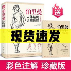 书豪出品】送描摹本】2019珍藏版伯里曼人体结构绘画教程人物速写入门零基础绘画自学教材临摹书籍透视技法高考美术教材艺术手绘教