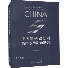 正版现货 中国影子银行对货币政策影响研究