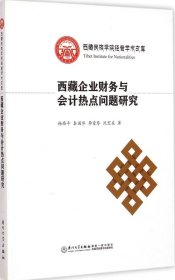 正版现货 西藏民族学院经管学术文库：西藏企业财务与会计热点问题研究