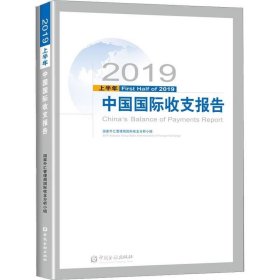 正版现货 2019上半年中国国际收支报告