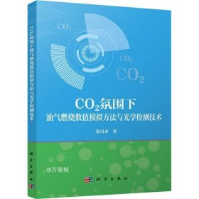 正版现货 CO2氛围下油气燃烧数值模拟方法与光学检测技术