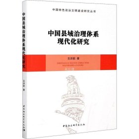 正版现货 中国县域治理体系现代化研究-中国特色政治文明建设研究丛书