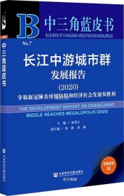 正版现货 中三角蓝皮书：长江中游城市群发展报告（2020）