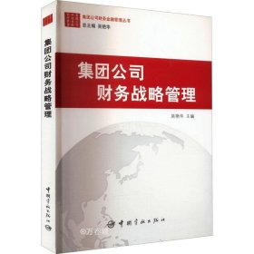 正版现货 集团公司财务金融管理丛书：集团公司财务战略管理